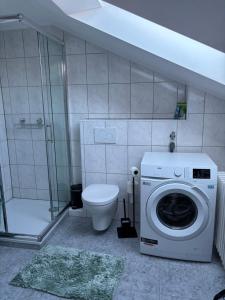 a bathroom with a washing machine and a toilet at Forest Home E&L in Waldshut-Tiengen +11 photos