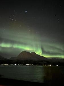 an aurora in the sky over a body of water at Trønderstua in Tromsø