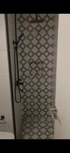 een douche met een glazen deur in een badkamer bij Recién renovado, 2 habitaciones, 1 baño in Las Lenas