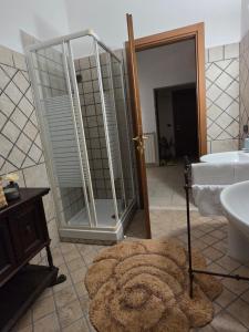 a bathroom with a shower and a sink and a rug at Farfalle in fiore Guesthouse in Roccasecca +44 photos