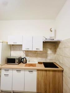 Kuchyň nebo kuchyňský kout v ubytování Big apartment in Brandýs nad Labem