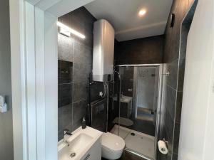 a bathroom with a toilet and a sink and a shower at Airpark-Lodge in Lärz +21 photos