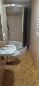 een badkamer met een toilet, een wastafel en een douche bij Apartament ist im swineminde ! & erdgeschos in Ahlbeck