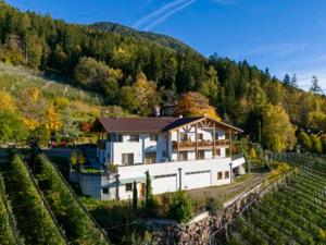 een groot huis midden in een wijngaard bij Prünsterhof Schenna in Schenna