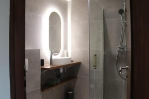 ein Badezimmer mit Dusche, Waschbecken und Spiegel in der Unterkunft Appartement Le nid sur l'Ain in Champagnole + 10 Fotos