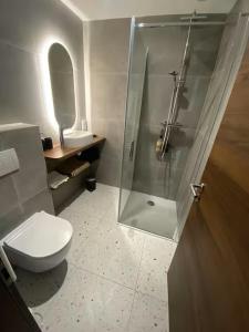 ein Badezimmer mit Dusche, Toilette und Waschbecken in der Unterkunft Appartement Le nid sur l'Ain in Champagnole