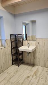 een badkamer met een wastafel en een spiegel bij Haus Lüchtje Jade in Sehestedt +17 foto's