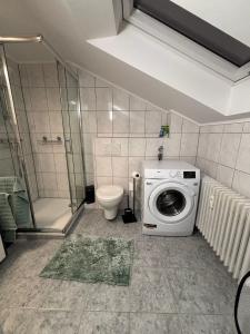 a bathroom with a washing machine and a toilet at Forest Home E&L in Waldshut-Tiengen