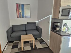 a small living room with a couch and a table at Apartment Draco in Harrachov +43 photos