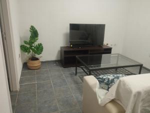 - un salon avec une télévision et une table avec une plante dans l'établissement Mar y Sol I Candelaria, à Punta Larga