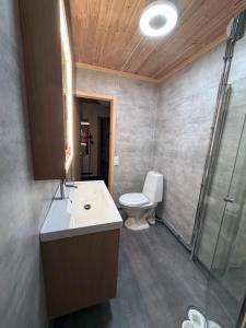 een badkamer met een toilet, een wastafel en een douche bij Stugan i Åsvallen in Tänndalen +2 foto's