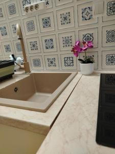 een badkamer met een badkuip en een bloem in een pot bij Sava centar apartman in Belgrado +6 foto's