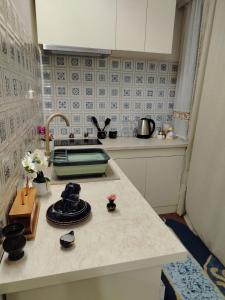 een keuken met een spoelbak en een aanrechtblad bij Sava centar apartman in Belgrado