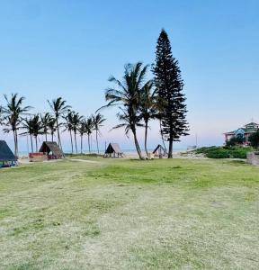 een veld met palmbomen en huizen aan het strand bij 12th on The Bay in Richards Bay