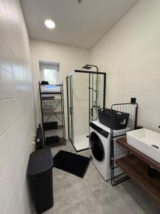een wasruimte met een wasmachine en een gootsteen bij Teplice accommodation in Teplice +21 foto's
