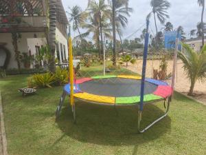 a trampoline in the grass in a yard at Pousada Varanda Amar - Icaraizinho de Amontada in Icaraí