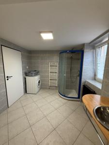 a bathroom with a shower and a washing machine at Teplice apartments DELUXE in Teplice +36 photos