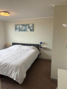 een slaapkamer met een bed en een schilderij aan de muur bij Comodo y cercano a la playa in Coquimbo