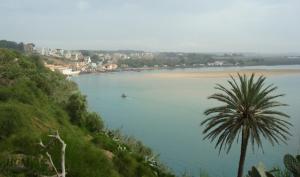 een boot in een groot water met een palmboom bij Camping Kbir in Moulay Bousselham