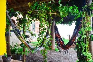 two hammocks hanging from a pergola with plants at Casa clima da montanha 1 in Cunha