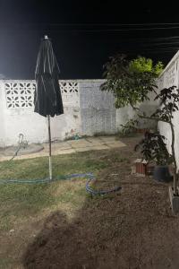 an umbrella sitting in the grass next to a tree at Casa Caponga in Cascavel