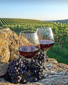 Nápoje v ubytování Posada Rojo Malbec