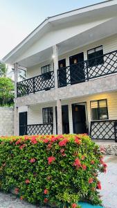 a house with a flower bush in front of it at Posada Kotnat in San Andrés