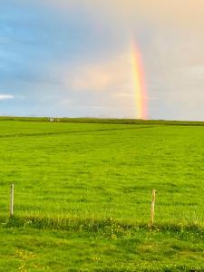 a rainbow in the middle of a green field at Vestra-Fíflholt 2 herbergja íbúð, fyrir allt að 8 gesti in Hvolsvöllur +16 photos
