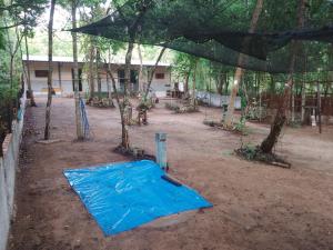 En have udenfor fusio 1001