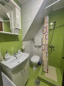 Et badeværelse på Planinska kuća Petrović