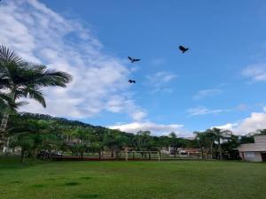 three kites flying in the sky over a park at Pousada a 500 metros do Pico Malwee in Jaraguá do Sul