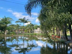 a pond with palm trees in a park at Pousada a 500 metros do Pico Malwee in Jaraguá do Sul