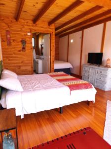 Et tv og/eller underholdning på Cabaña