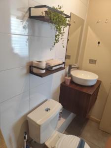 Et badeværelse på Departamento en Linares + 17 billeder