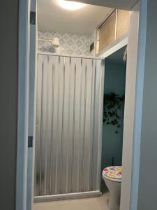 a bathroom with a sliding door with a toilet at Apartamento Charme da Glória in Rio de Janeiro +31 photos