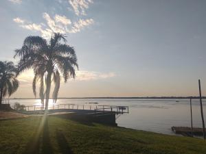 a palm tree sitting next to a body of water at Casa Punta Iglesia in Paso de la Patria