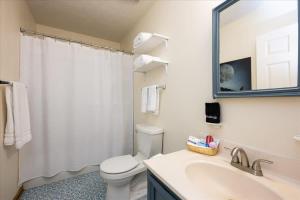 een badkamer met een toilet, een wastafel en een spiegel bij Quiet Retreat - Piano Firepit Peloton in Pittsboro