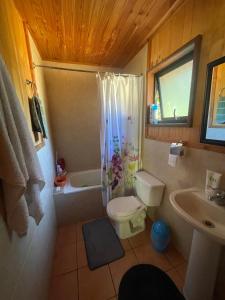 Et badeværelse på Cabaña BANDURRIA