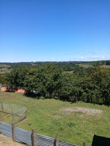 vista su un campo alberato e su una recinzione di Cabaña de campo, Puacura - Castro a Putemún Altre 3 foto