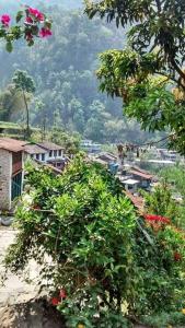 uitzicht op een stad met een berg op de achtergrond bij Hotel evergreen lodge in Kāskī