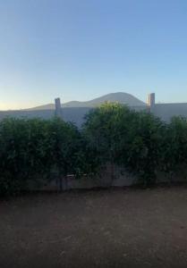 een rij bomen met bergen op de achtergrond bij Horizontes de Papudo in Los Corrales
