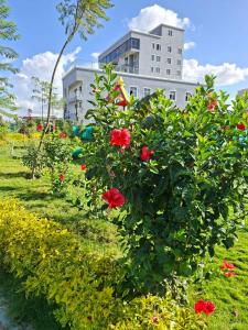 een bos met rode bloemen voor een gebouw bij Haven Place 254 in Nairobi