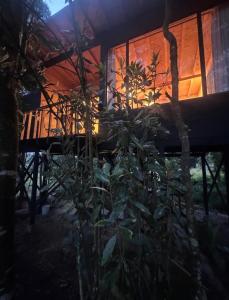 Vườn quanh Boheme Cabin