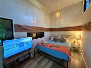 a bedroom with a bed and a flat screen tv at Casa Panal , Jacuzzi opcional Villa Alemana in Villa Alemana