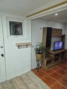 a room with a flat screen tv and a plant at Departamentos H&G in Punta Arenas