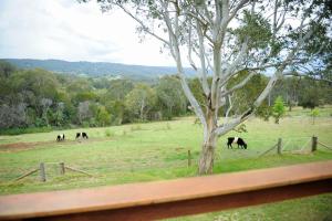 Fotografie z fotogalerie ubytování Bell View House -Fireplace- Base of Blue Mountains v destinaci Kurrajong + 18 fotografií