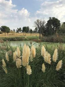 Naturlandskabet i nærheden af pensionatet