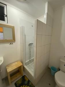 een badkamer met een douche, wastafel en toilet bij Cactu in Viña del Mar