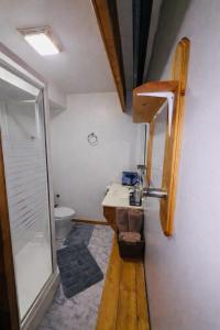 een badkamer met douche, wastafel en toilet bij Bujaks in Inuvik