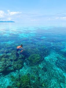 Naturlandskabet i nærheden af den private indkvartering